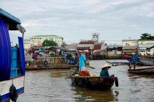 From Delta to the Sea